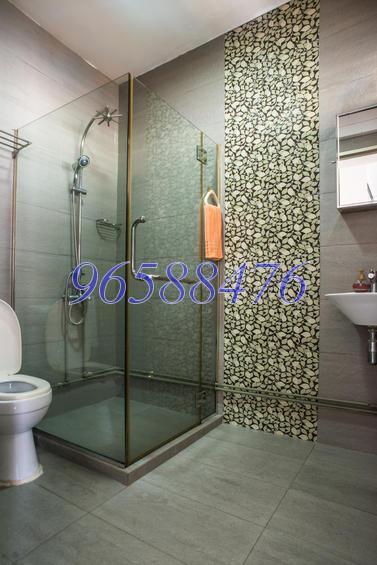 Blk 254 Bangkit Road (Bukit Panjang), HDB Executive #147898682